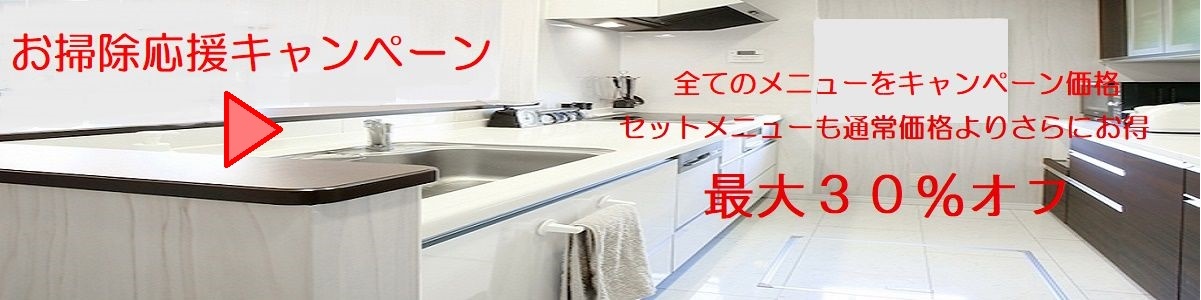 お掃除・ハウスクリーニングのaaサービス